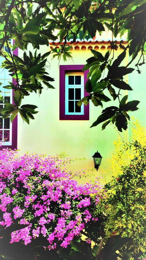 Pensión Quinta Do Cabouco Ribeira Brava